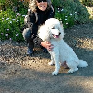 Meet your Posher, Laurie